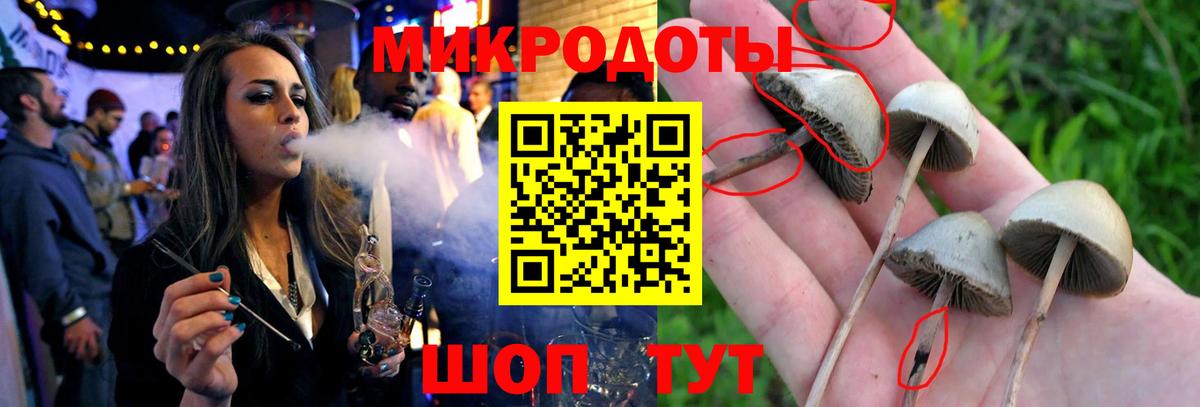 Галлюциногенные грибы Cubensis  Галлюциногенные грибы ЛСД  Вход с VPN  Тимашёвск 